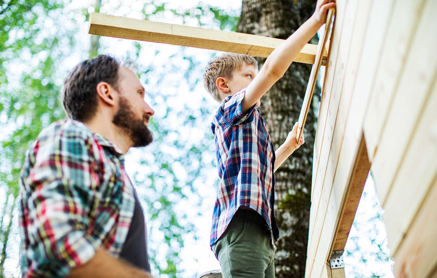 2022_GI-1254285817_Vater_u_Sohn_bauen_Baumhaus_MS.jpg 2022_GI-1254285817_Vater_u_Sohn_bauen_Baumhaus_MS.jpg